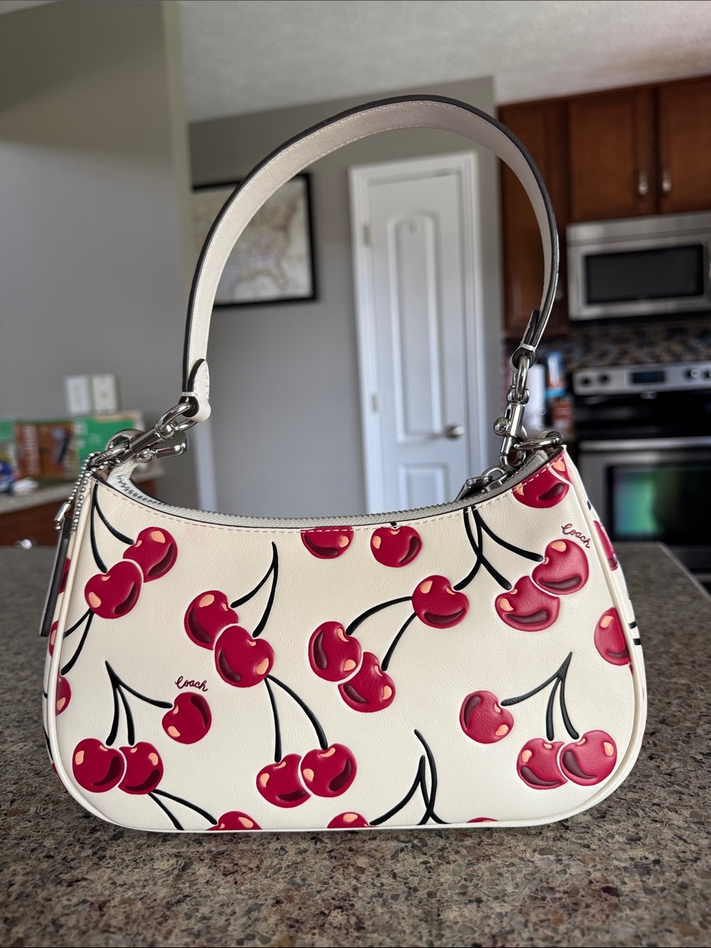 πCoachTeri Shoulder Bag With Cherry Print #CZ774π LIKE NEWπ - Picture 4 of 17